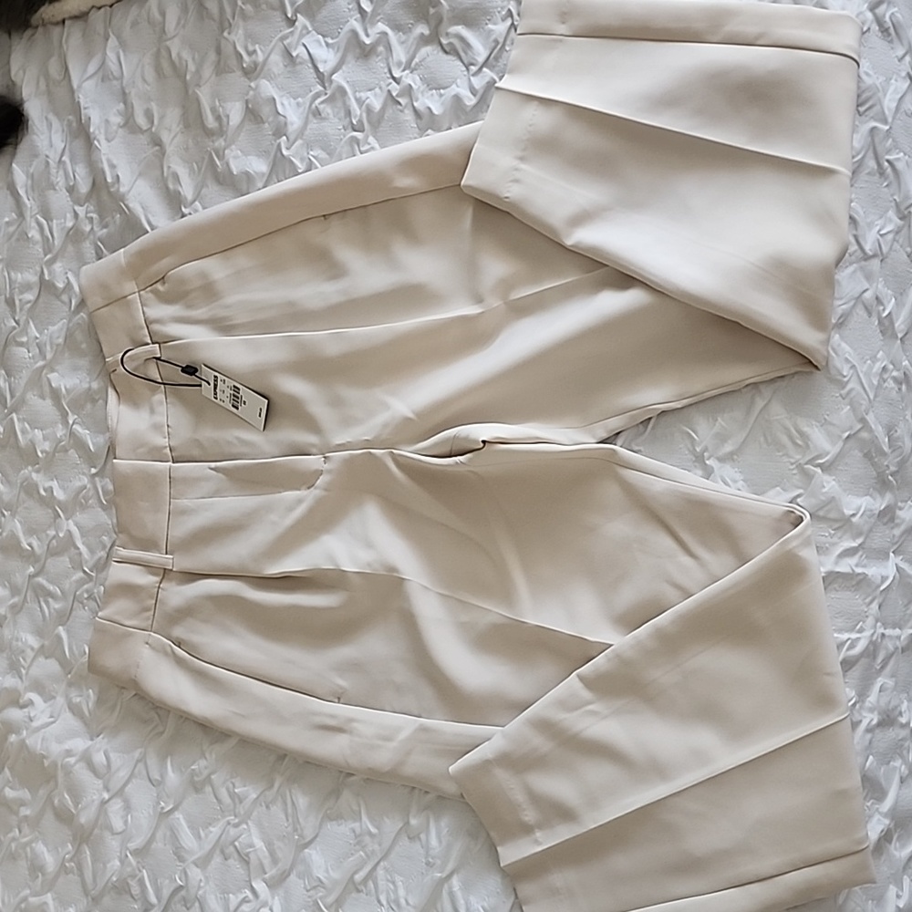 Express Dress pants